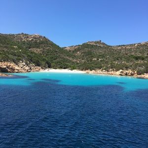 Meet your Posher, Ali